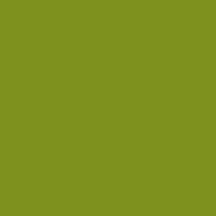 green square with NMRMC brand color